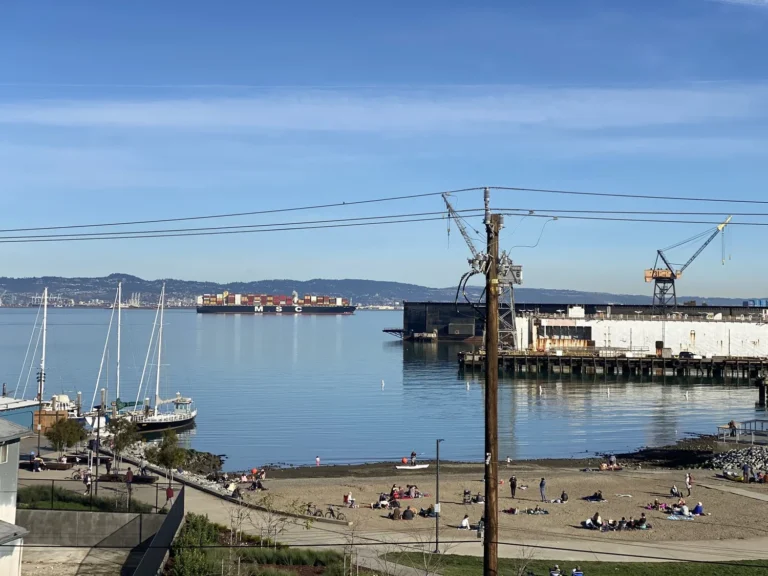 The shoreline with masts, a beach and the bay beyond.