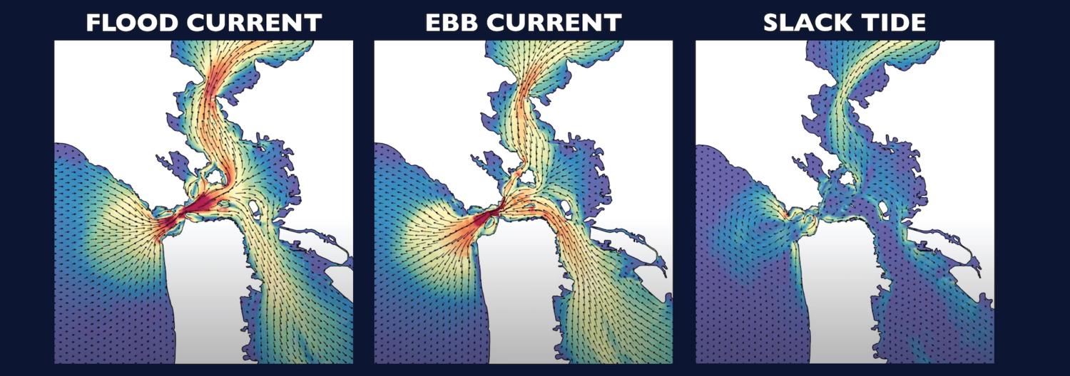 Three current charts of the bay side by side, showing flood current, ebb current and slack tide.