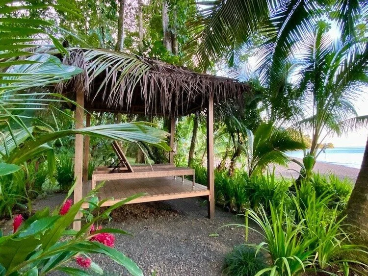 A thatched open-air platform set in a garden of palms and flowering shrubs.