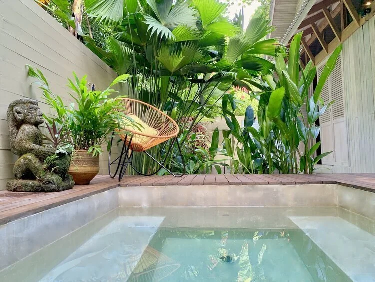 A small plunge pool surrounded by tropical planting, a hanging chair beside it.