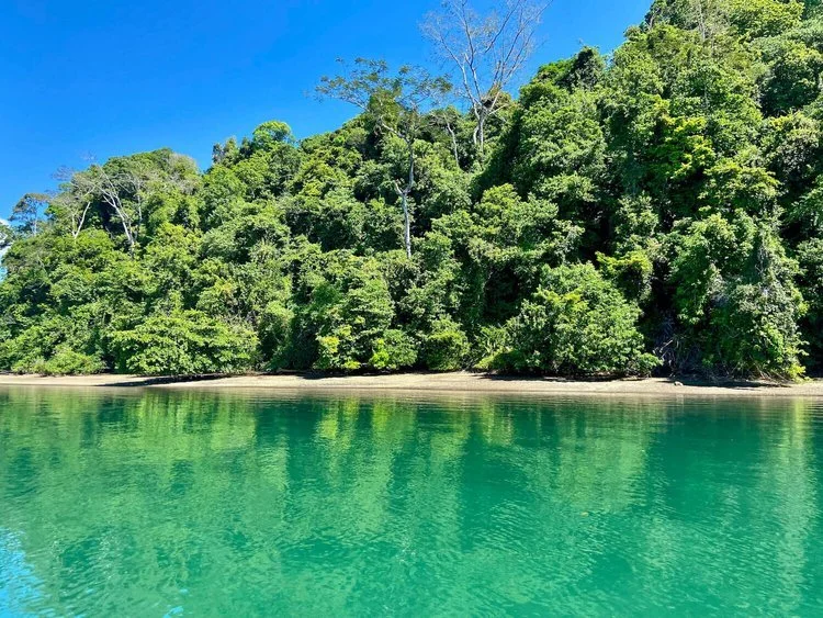 Clear turquoise water against a steep jungle shoreline.