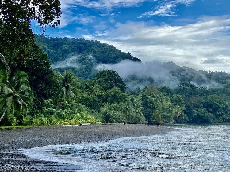 Mist lifting off a forested ridge above a dark beach.