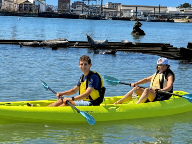 Seals hauled out on a timber pier with a tandem kayak passing in front.