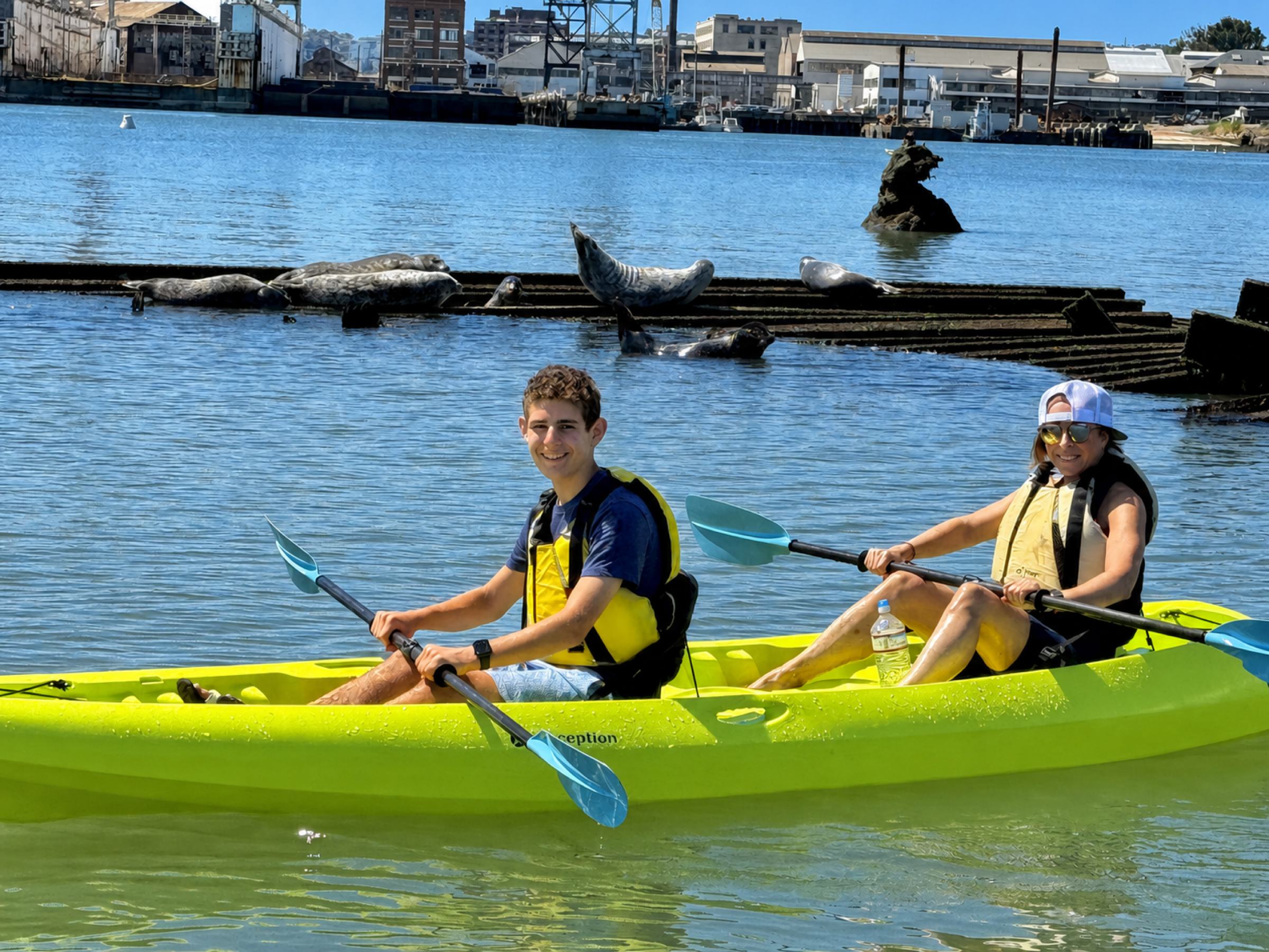 Seals hauled out on a timber pier with a tandem kayak passing in front.