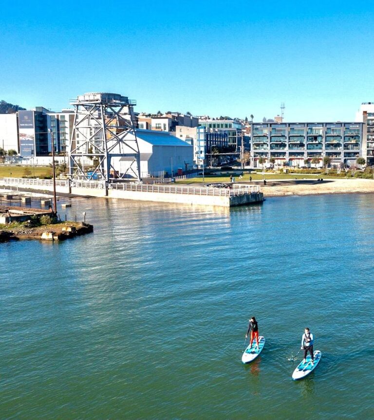 Paddlers on the water at Crane Cove on a clear day.