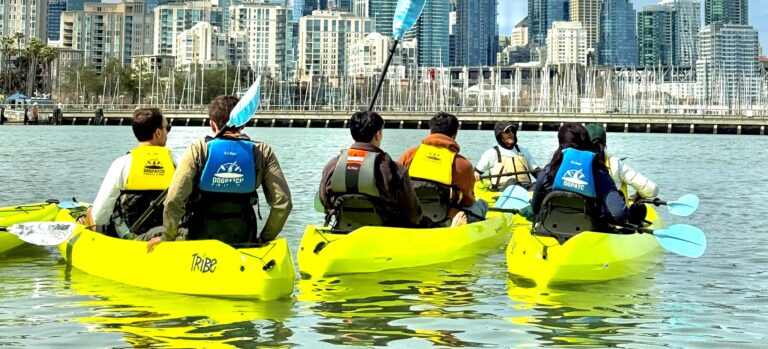 A row of yellow tandem kayaks on the water along the Dogpatch shoreline.